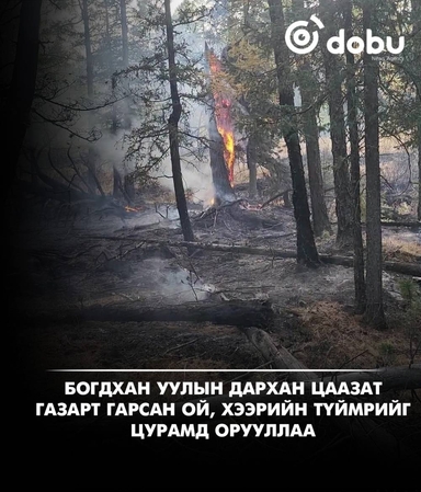 Богдхан ууланд гарсан ой, хээрийн түймрийг цурамд орууллаа